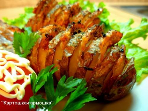 Веер из картофеля в духовке. Картофель запеченый в духовке Картошка-гармошка
