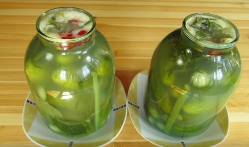 Рецепт засолки огурцов без консервации. Самый вкусный рецепт хрустящих огурцов, как из бочки