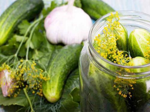 Огурцы на зиму без стерилизации на 3 литровую банку. Огурцы на зиму — рецепт на 3 литровую банку