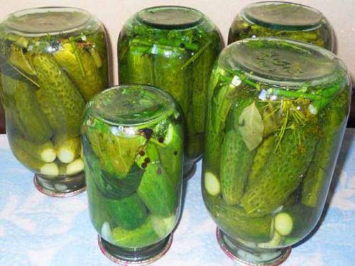 Огурцы на зиму без стерилизации на 3 литровую банку. Огурцы на зиму — рецепт на 3 литровую банку