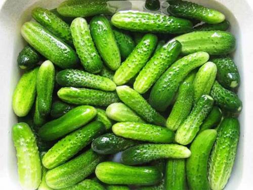 Огурцы на зиму без стерилизации на 3 литровую банку. Огурцы на зиму — рецепт на 3 литровую банку