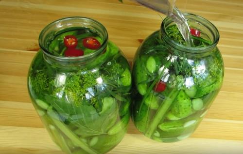 Рецепт засолки огурцов без консервации. Самый вкусный рецепт хрустящих огурцов, как из бочки