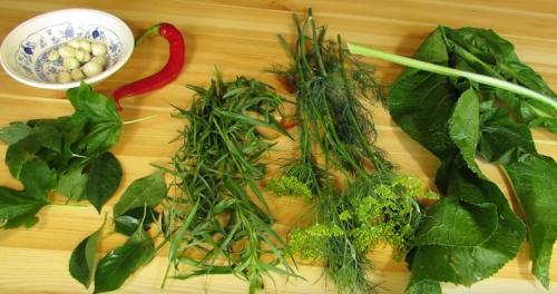 Рецепт засолки огурцов без консервации. Самый вкусный рецепт хрустящих огурцов, как из бочки