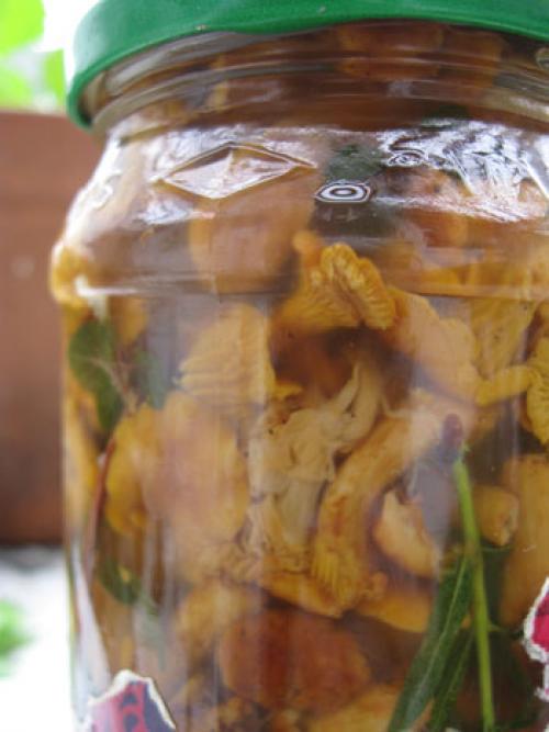 Солянка с подосиновиками и капустой. Солянка из грибов и капусты на зиму - отличный гарнир или готовая начинка для пирожков 09