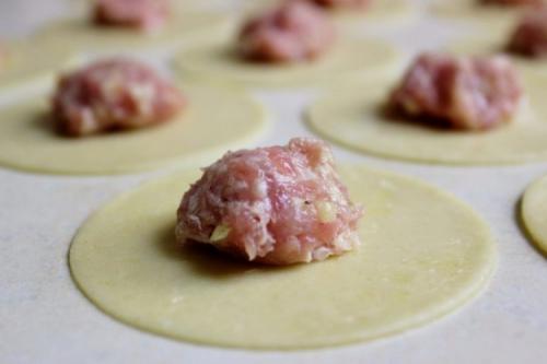 Как сделать начинку для пельменей более сочной и ароматной. 20 самых вкусных начинок для пельменей