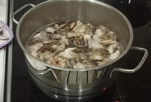 Как приготовить грибы Рядовки на зиму. Грибы Рядовки на зиму — лучшие рецепты соления, маринования, икры