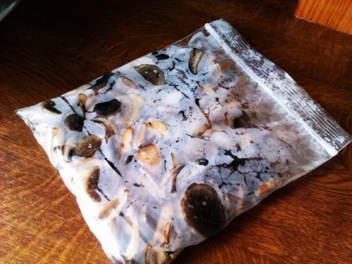 Сколько варить грибы рядовка. Сколько по времени варить грибы рядовки