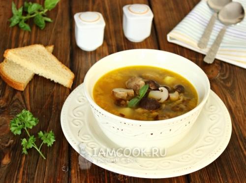 Грибной суп из замороженных польских: рецепт и советы 15