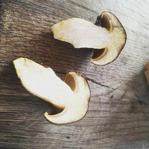 Вкусный и простой рецепт супа из польских белых грибов 16