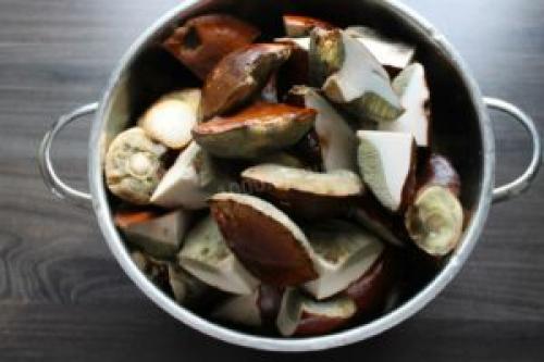 Вкусный суп с польскими грибами: рецепт свежих грибов 06 Вкусный суп с польскими грибами: рецепт свежих грибов 06