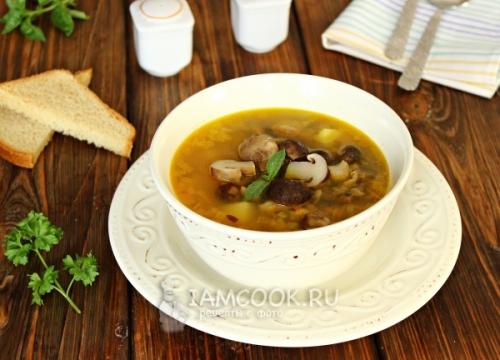 Грибной суп из замороженных польских: рецепт и советы 07