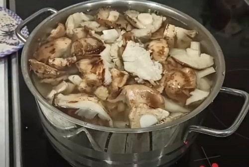 Как приготовить грибы рядовки на зиму. Грибы рядовки на зиму — лучшие рецепты соления, маринования, икры