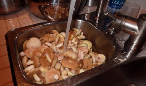 Как солить подтопольники на зиму? Засаливаем в банках на 2-3 литра