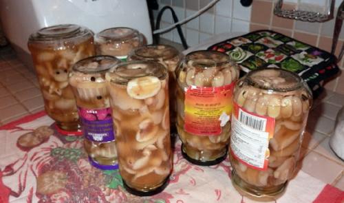 Как солить подтопольники на зиму? Засаливаем в банках на 2-3 литра