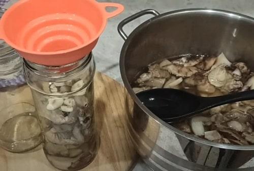 Грибы рядовки Как готовить. Грибы рядовки на зиму — лучшие рецепты соления, маринования, икры