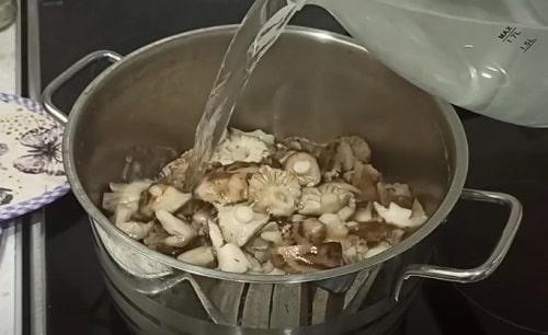 Грибы рядовки Как готовить. Грибы рядовки на зиму — лучшие рецепты соления, маринования, икры