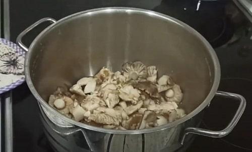 Грибы рядовки Как готовить. Грибы рядовки на зиму — лучшие рецепты соления, маринования, икры