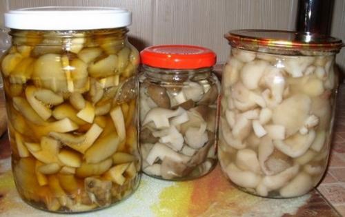 Соленые рядовки на зиму. Как закрыть рядовки на зиму. Рядовки на зиму рецепты | Как мариновать рядовки на зиму