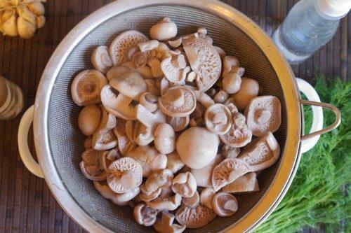 Маринованные синеножки