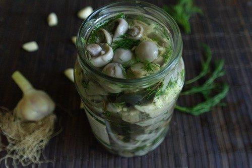 Маринованные синеножки