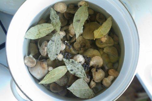 Маринованные синеножки