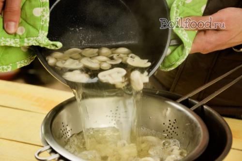 Сколько варить шампиньоны. Как варить шампиньоны