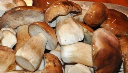 Икра из грибов синеножек. Грибная икра из вареных грибов — самый вкусный рецепт