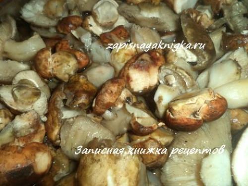 Как мариновать подтопольники. Что за грибы такие подтопольники?