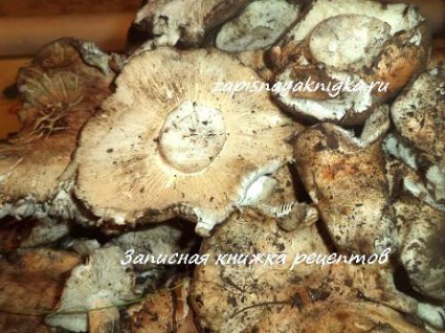 Как мариновать подтопольники. Что за грибы такие подтопольники?