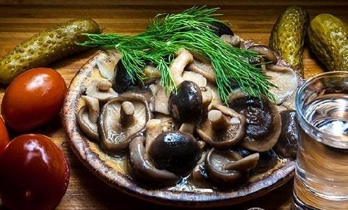 Как приготовить грибы Рядовки на зиму. Грибы Рядовки на зиму — лучшие рецепты соления, маринования, икры