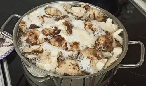 Как приготовить грибы рядовки на зиму. Грибы рядовки на зиму — лучшие рецепты соления, маринования, икры