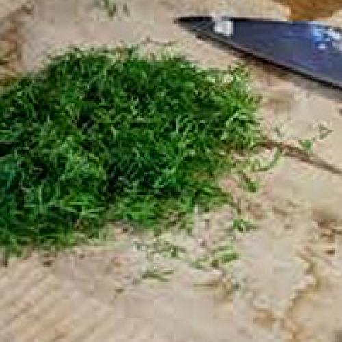 Как подать картошку с чесноком и приправой после приготовления. Картофель в чесночном масле