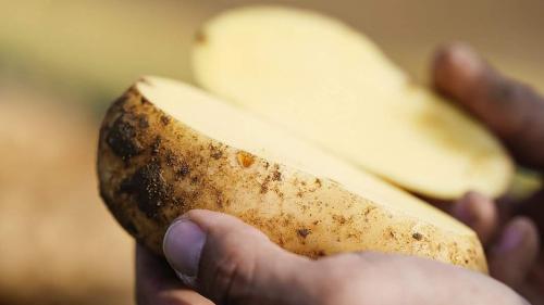 Картошка на пергаментной бумаге в духовке с курицей: простой и вкусный рецепт 18