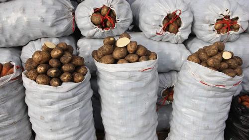 Картошка на пергаментной бумаге в духовке с курицей: простой и вкусный рецепт 19