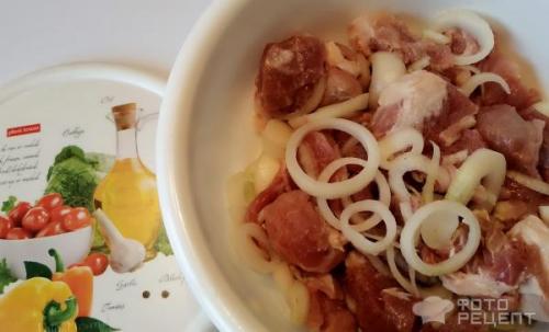 Шашлык на электрошашлычнице с дымком. Рецепт: Шашлык в электрошашлычнице - с секретным ингредиентом будет, как на мангале