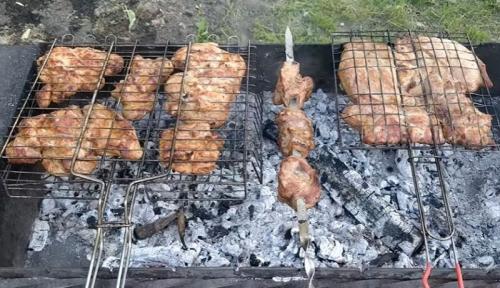 Как пожарить сочный шашлык. Шашлык из курицы на мангале: самые вкусные маринады, чтобы мясо было сочное и мягкое
