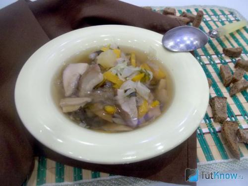 Вкусный и полезный: рецепт овощного супа с белыми и польскими грибами 18