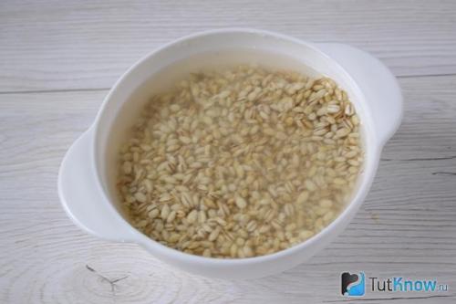 Плов из свинины с перловкой в духовке. Плов из перловки с мясом 29