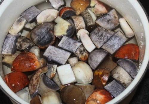 Какие ингредиенты можно добавить в рецепт грибного супа из польских грибов, чтобы сделать его более ароматным. Грибной суп из свежих лесных грибов