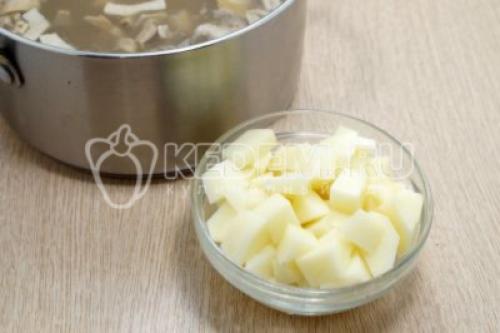 Грибной суп с перловой крупой: вкус и здоровье в одном блюде 09 Грибной суп с перловой крупой: вкус и здоровье в одном блюде 09