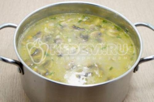 Грибной суп с перловой крупой: вкус и здоровье в одном блюде 12 Грибной суп с перловой крупой: вкус и здоровье в одном блюде 12