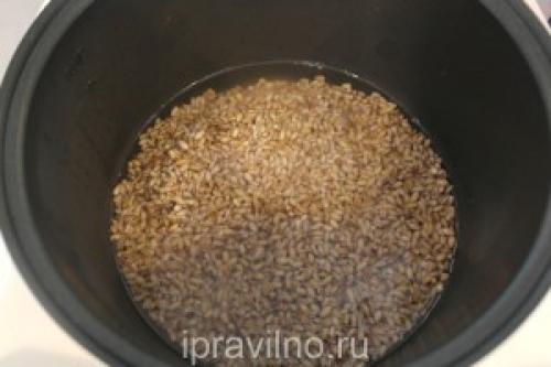 Плов из перловки с грибами и мясом. Плов из перловки и шампиньонов: рецепт с пошаговыми фото