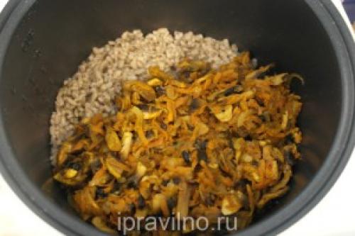 Плов из перловки с грибами и мясом. Плов из перловки и шампиньонов: рецепт с пошаговыми фото