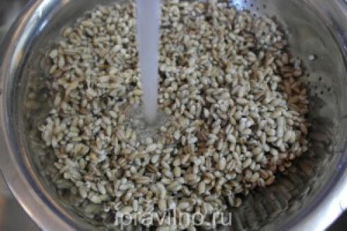 Плов из перловки с грибами и мясом. Плов из перловки и шампиньонов: рецепт с пошаговыми фото