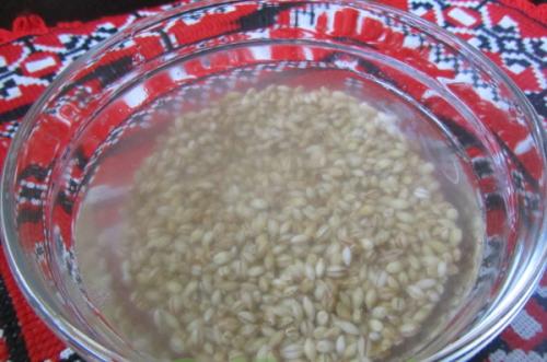 Блюда из перловки в мультиварке. Перловая каша в мультиварке. Как варить на воде, пропорции, рецепт