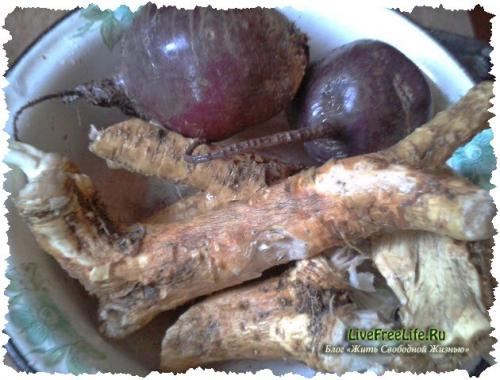 Соус из свёклы с хреном на зиму. Тертый хрен со свеклой на зиму 16