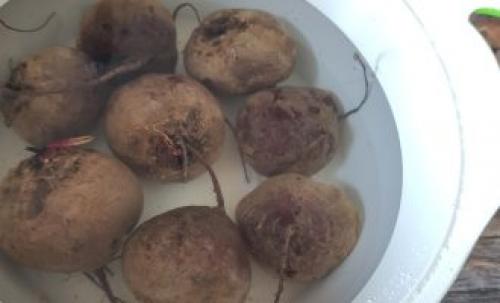 Рецепт маринованной свеклы по-грузински. Маринованная свёкла по-грузински в ткемали с зеленью