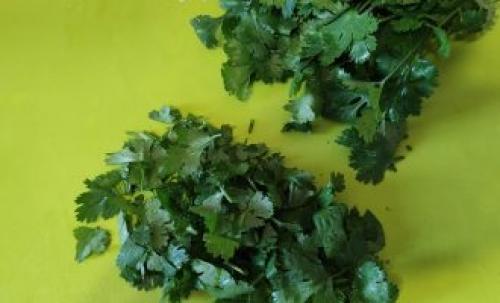 Рецепт маринованной свеклы по-грузински. Маринованная свёкла по-грузински в ткемали с зеленью