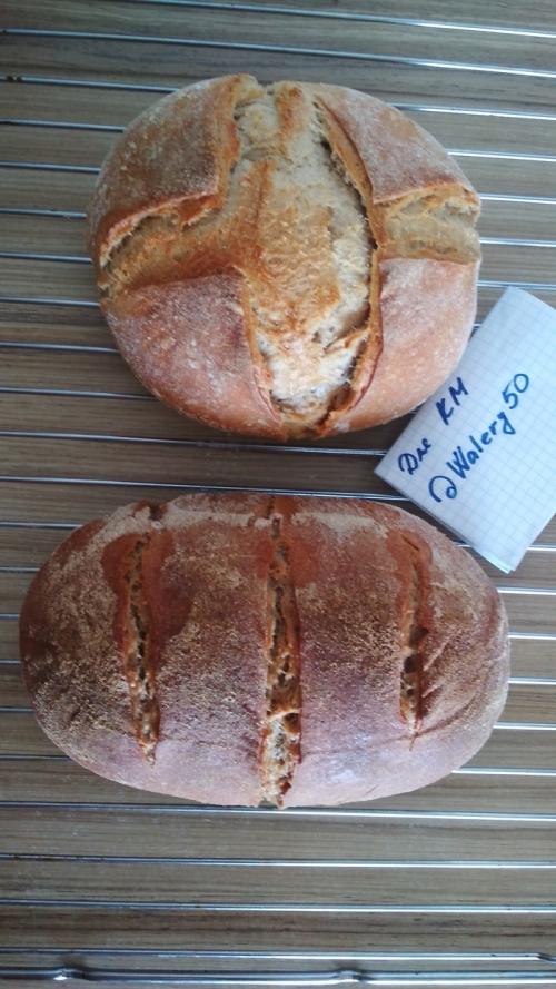 Какие ингредиенты необходимы для приготовления Силезского ржаного хлеба. Силезский ржаной хлеб (темный и светлый)