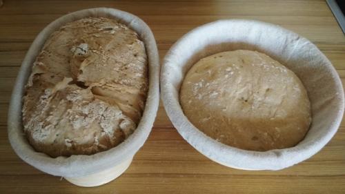 Какие ингредиенты необходимы для приготовления Силезского ржаного хлеба. Силезский ржаной хлеб (темный и светлый)